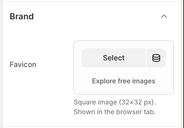 Brand settings — the Favicon image picker